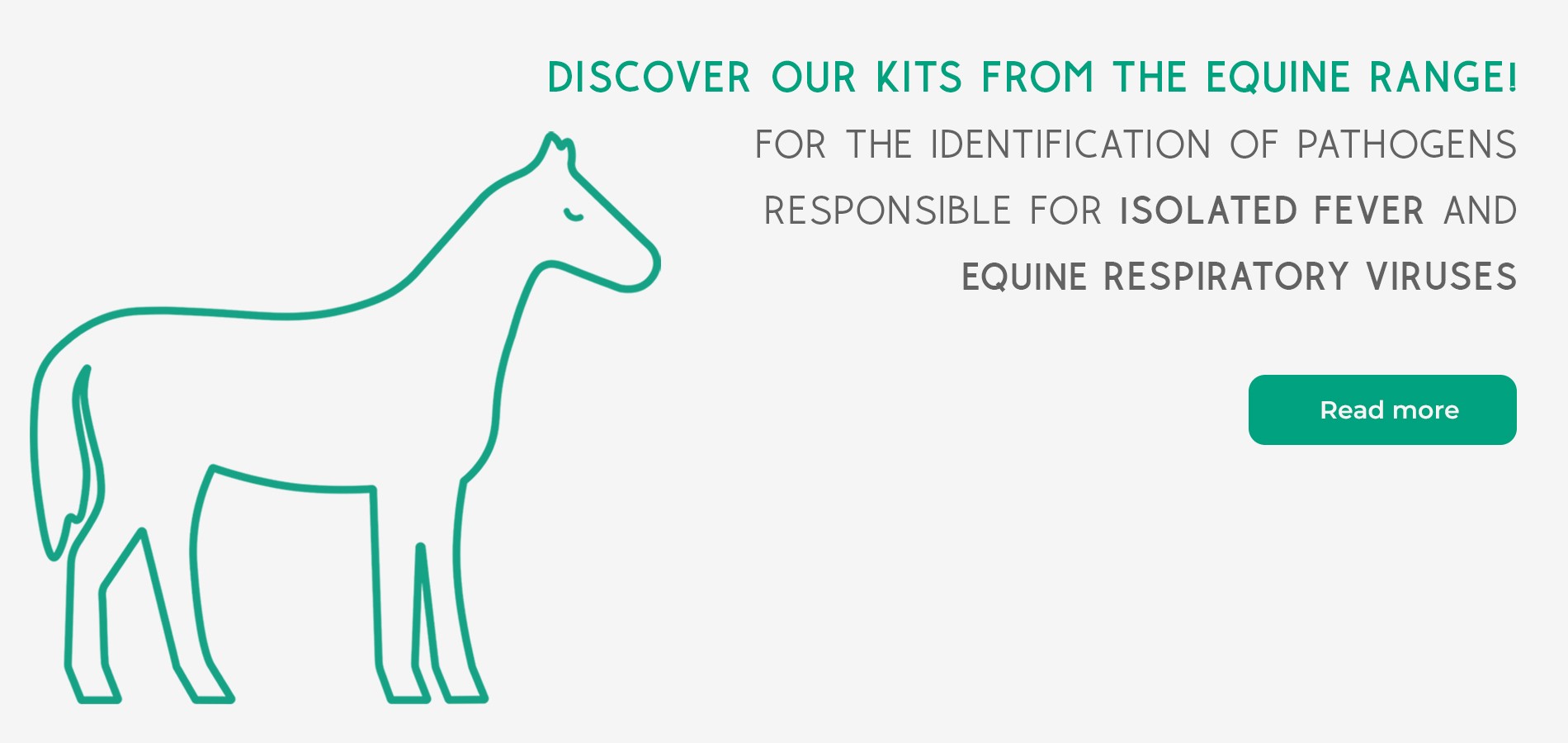 Discover our kits from the equine range